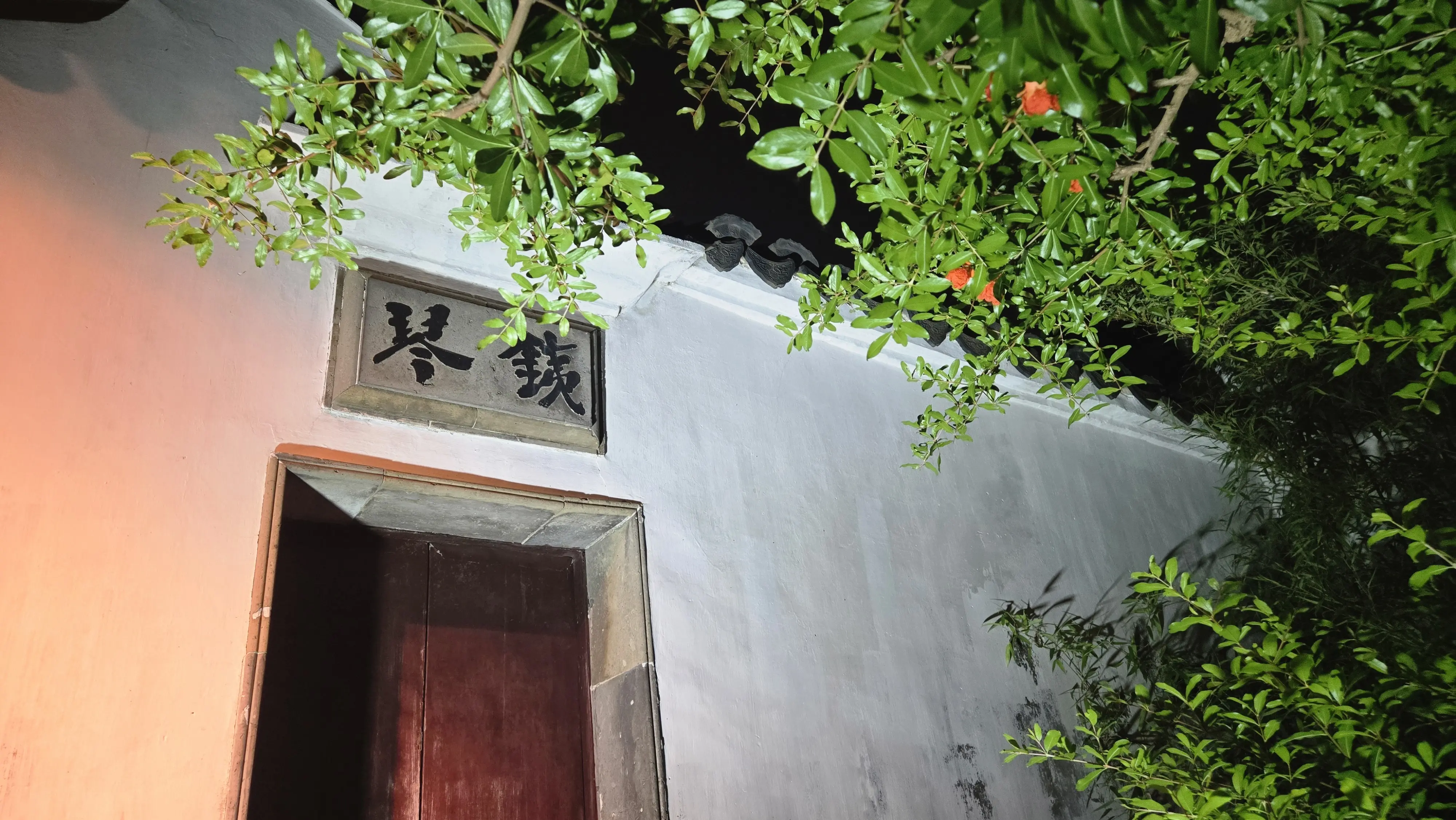 苏州夜游网师园